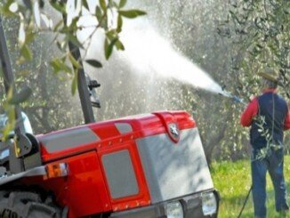 Calendario trattamenti indispensabili