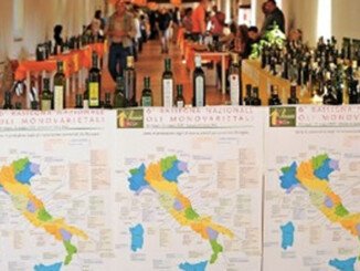 XV Rassegna Nazionale Olii monovarietali