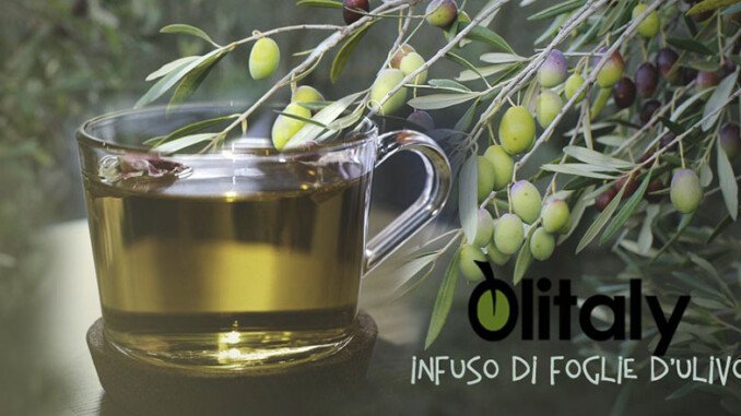 Foto Infuso Olivo