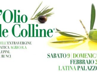 Concorso L'olio delle Colline