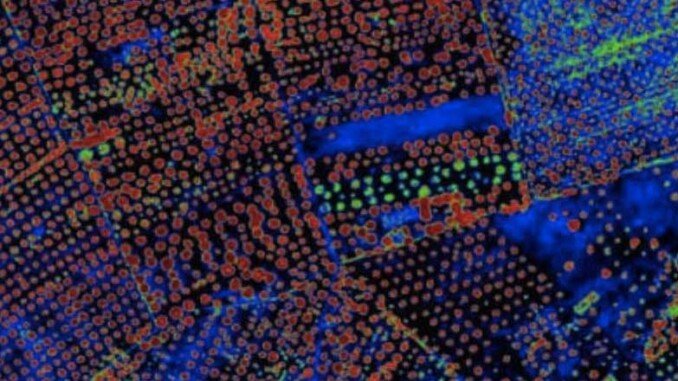 Monitoraggio xylella dal cielo