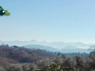 Olio delle Colline, Bassiano