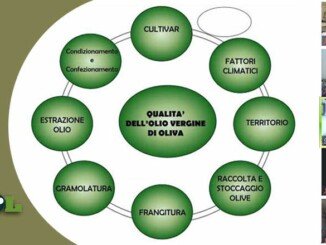 Videoconferenza assaggiatori CAPOL