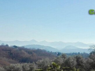 Capol. Olio poco ma buono