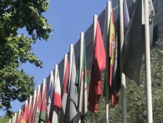 Pandolea Giornata olivo