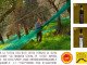 Nuovi Consorziati Olio DOP Riviera Ligure