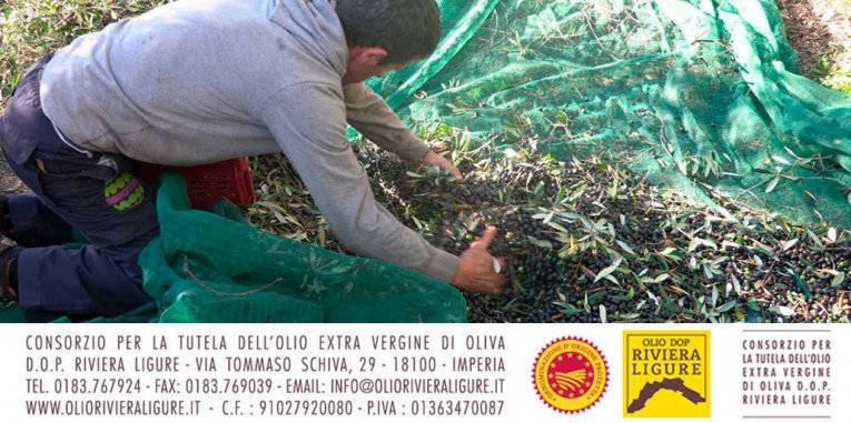 DOP economy e Riviera Ligure DOP