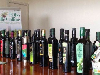 Concorso provinciale Olio delle Colline