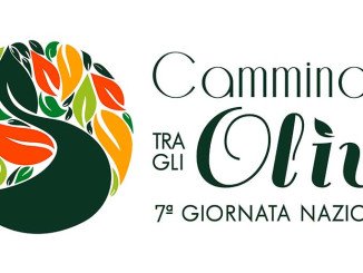 Camminata tra gli olivi