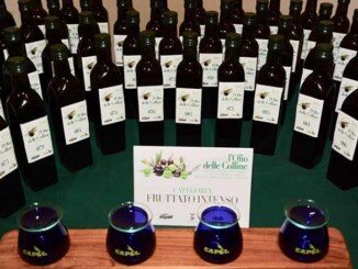 Corso Assaggiatori CAPOL