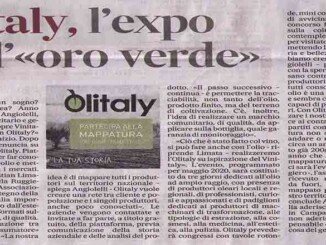 l'Expo dell'oro verde